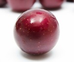 Red Muscadine