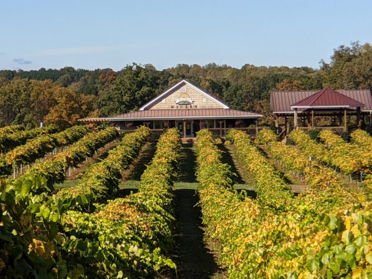 The Winery | WoodMill Winery