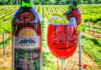 Annual Strawberry Wine Festival & Annual Vineyard Blessing